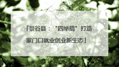景谷县：“四举措”打造家门口就业创业新生态