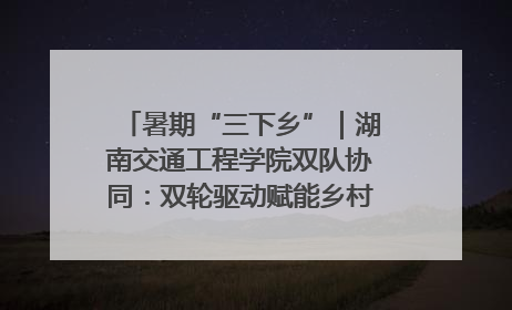 暑期“三下乡”｜湖南交通工程学院双队协同：双轮驱动赋能乡村，青春力量深耕基层