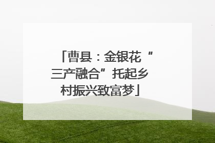 曹县：金银花“三产融合”托起乡村振兴致富梦