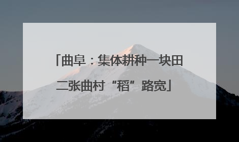 曲阜：集体耕种一块田 二张曲村“稻”路宽