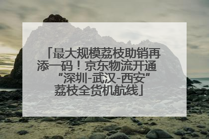 最大规模荔枝助销再添一码！京东物流开通“深圳-武汉-西安” 荔枝全货机航线