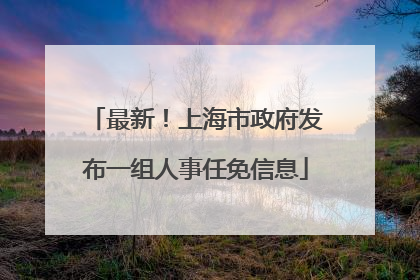 最新！上海市政府发布一组人事任免信息