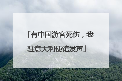 有中国游客死伤，我驻意大利使馆发声