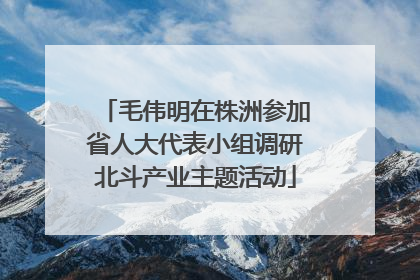 毛伟明在株洲参加省人大代表小组调研北斗产业主题活动