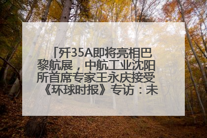 歼35A即将亮相巴黎航展，中航工业沈阳所首席专家王永庆接受《环球时报》专访：未来数量可以有很多