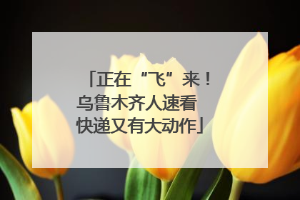 正在“飞”来！乌鲁木齐人速看 快递又有大动作