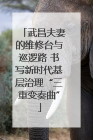 武昌夫妻的维修台与巡逻路 书写新时代基层治理“三重变奏曲”
