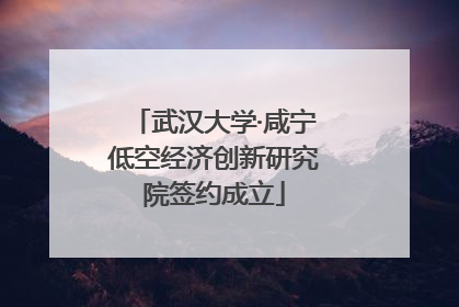 武汉大学·咸宁低空经济创新研究院签约成立