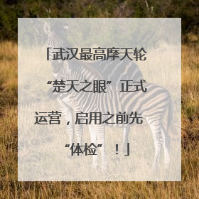 武汉最高摩天轮“楚天之眼”正式运营，启用之前先“体检”！