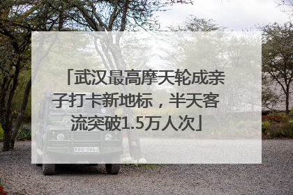 武汉最高摩天轮成亲子打卡新地标，半天客流突破1.5万人次