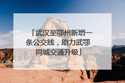 武汉至鄂州新增一条公交线，助力武鄂同城交通升级