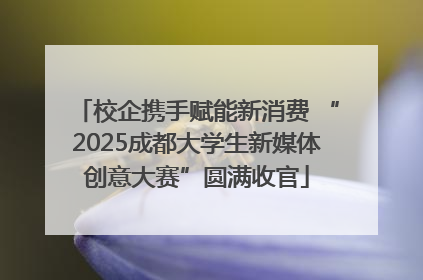 校企携手赋能新消费 “2025成都大学生新媒体创意大赛”圆满收官