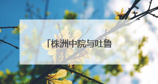 株洲中院与吐鲁番中院签订司法调研合作协议