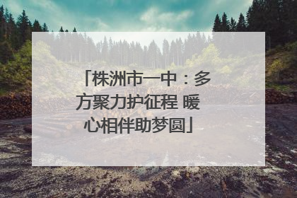 株洲市一中：多方聚力护征程 暖心相伴助梦圆