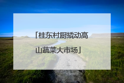 桂东村厨撬动高山蔬菜大市场