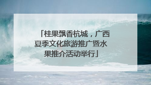 桂果飘香杭城，广西夏季文化旅游推广暨水果推介活动举行