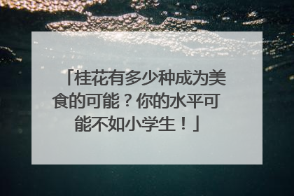桂花有多少种成为美食的可能？你的水平可能不如小学生！