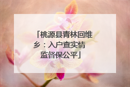 桃源县青林回维乡：入户查实情 监督保公平