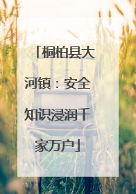 桐柏县大河镇：安全知识浸润千家万户