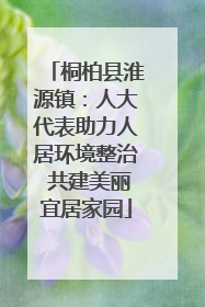 桐柏县淮源镇：人大代表助力人居环境整治 共建美丽宜居家园