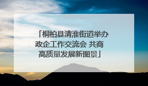 桐柏县清淮街道举办政企工作交流会 共商高质量发展新图景