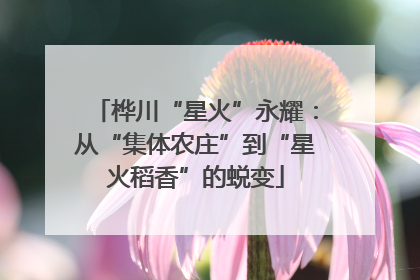 桦川“星火”永耀：从“集体农庄”到“星火稻香”的蜕变