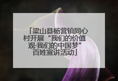 梁山县杨营镇同心村开展“我们的价值观·我们的中国梦”百姓宣讲活动