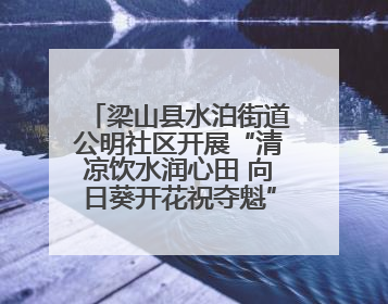 梁山县水泊街道公明社区开展“清凉饮水润心田 向日葵开花祝夺魁”助考活动