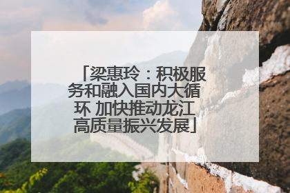 梁惠玲：积极服务和融入国内大循环 加快推动龙江高质量振兴发展