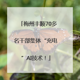梅州丰顺70多名干部集体“充电”AI技术！