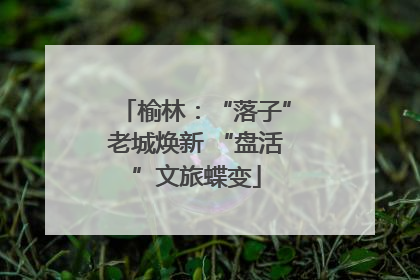 榆林：“落子”老城焕新 “盘活”文旅蝶变