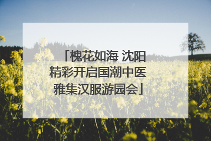 槐花如海 沈阳精彩开启国潮中医雅集汉服游园会