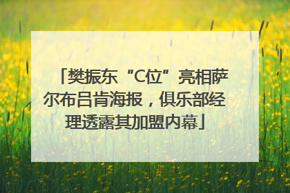 樊振东“C位”亮相萨尔布吕肯海报，俱乐部经理透露其加盟内幕