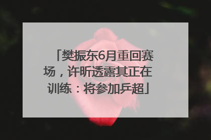 樊振东6月重回赛场，许昕透露其正在训练：将参加乒超