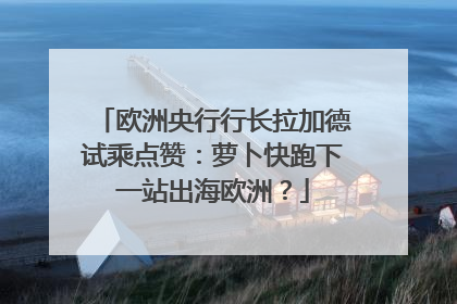 欧洲央行行长拉加德试乘点赞：萝卜快跑下一站出海欧洲？
