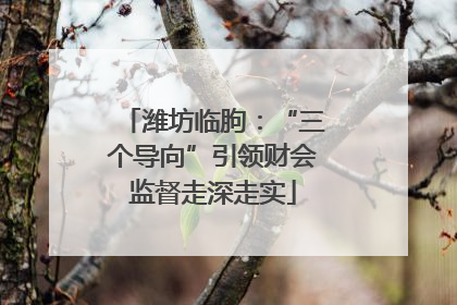 潍坊临朐：“三个导向”引领财会监督走深走实