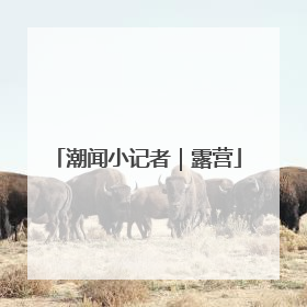 潮闻小记者｜露营