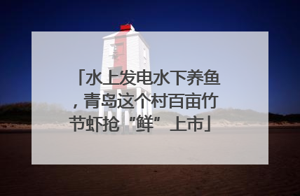 水上发电水下养鱼，青岛这个村百亩竹节虾抢“鲜”上市