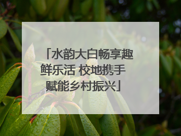 水韵大白畅享趣鲜乐活 校地携手赋能乡村振兴