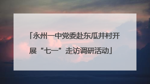 永州一中党委赴东瓜井村开展“七一”走访调研活动