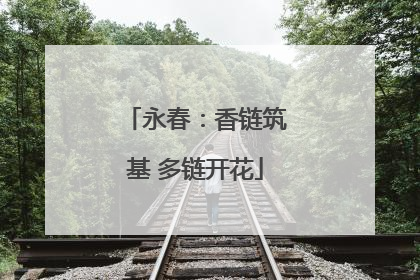 永春：香链筑基 多链开花