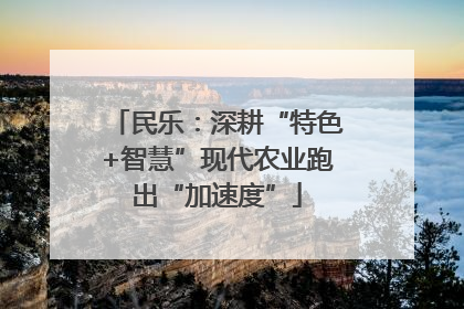 民乐：深耕“特色+智慧”现代农业跑出“加速度”