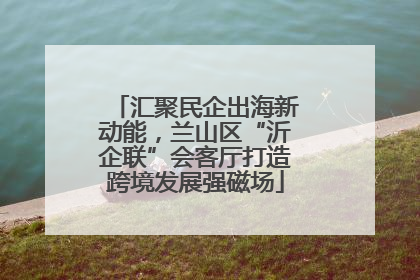 汇聚民企出海新动能，兰山区“沂企联”会客厅打造跨境发展强磁场