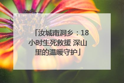 汝城南洞乡：18小时生死救援 深山里的温暖守护