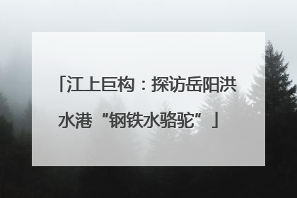 江上巨构：探访岳阳洪水港“钢铁水骆驼”