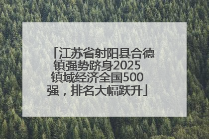 江苏省射阳县合德镇强势跻身2025镇域经济全国500强，排名大幅跃升
