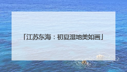 江苏东海：初夏湿地美如画