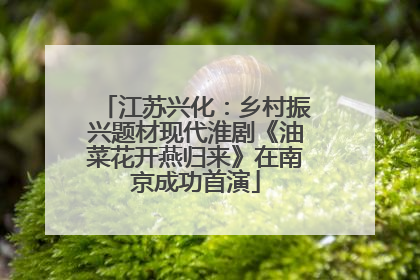 江苏兴化：乡村振兴题材现代淮剧《油菜花开燕归来》在南京成功首演