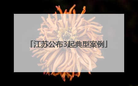 江苏公布3起典型案例