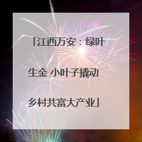 江西万安：绿叶生金 小叶子撬动乡村共富大产业